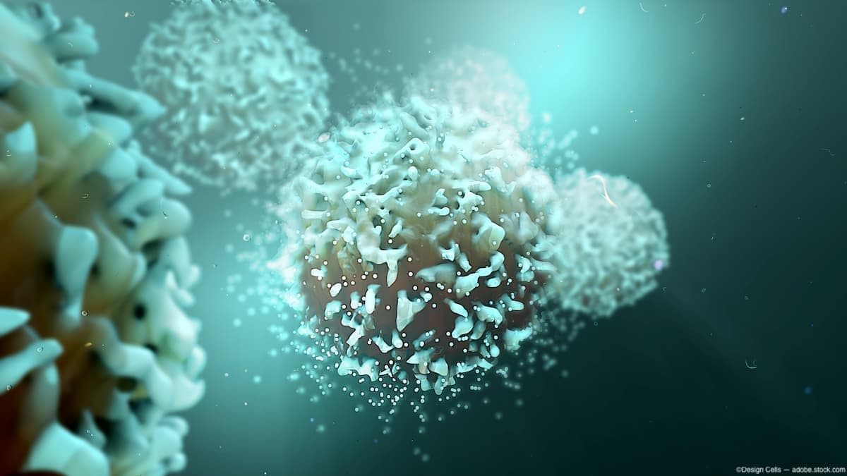 T cell graphic Image credit: AdobeStock/DesignCells